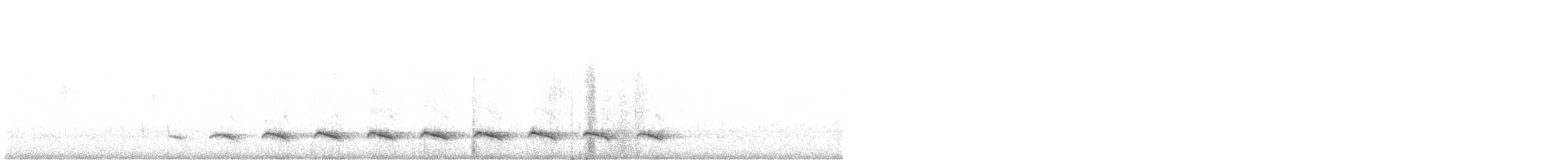 White-bearded Antshrike - ML487931341