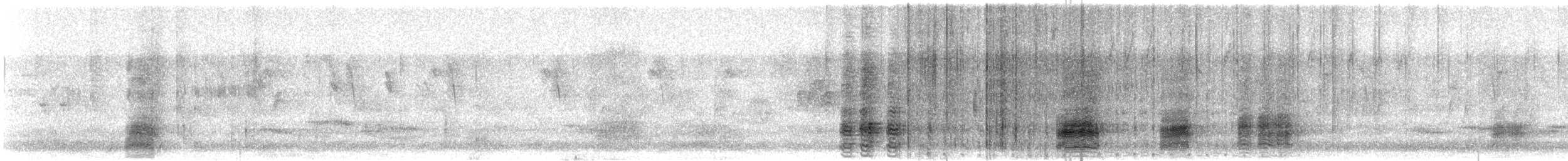 Stockente - ML487983621