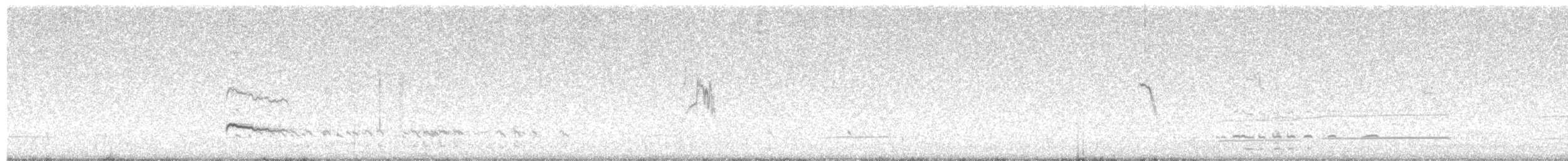 Eurasian Curlew - ML488019241