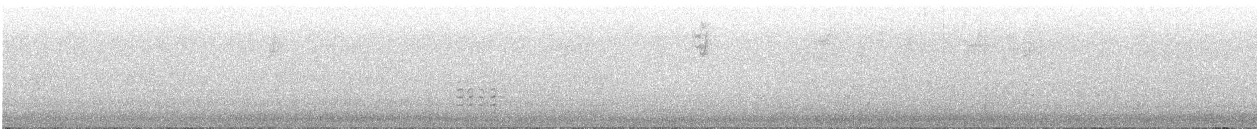 Weißbrustkleiber - ML488119651