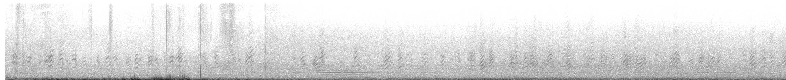 Black Skimmer - ML488153991