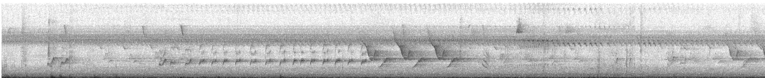Каролинский крапивник - ML488199981