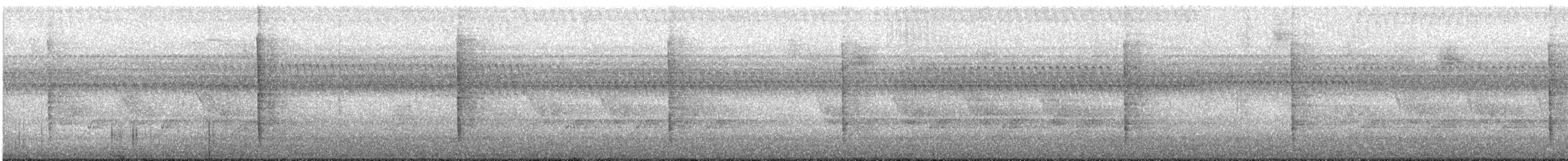 Тремблер прямодзьобий - ML488201881