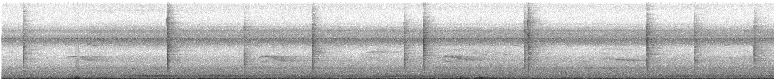 Тремблер прямодзьобий - ML488202521