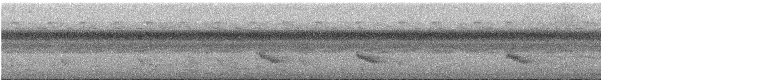 Каролинский крапивник - ML488202911