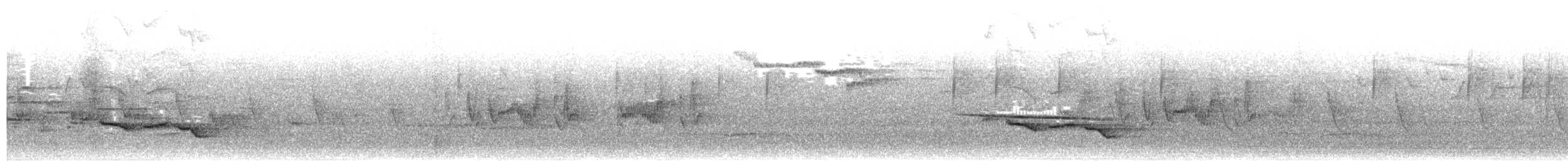 Тимелія-клинодзьоб світловола - ML488275021