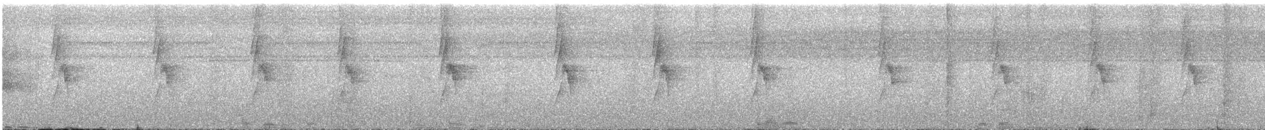 Длинноклювый колибри-отшельник - ML48830871