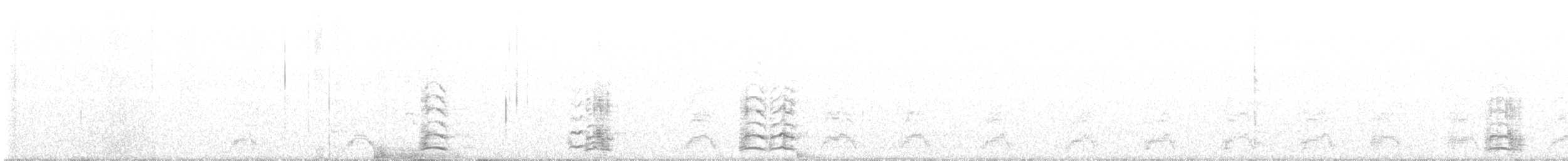 אווז שלג - ML488322661