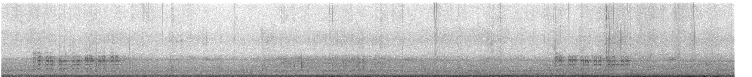 Weißbrustkleiber - ML488340571