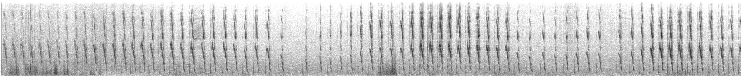 Weißkinn-Sturmvogel - ML488348921