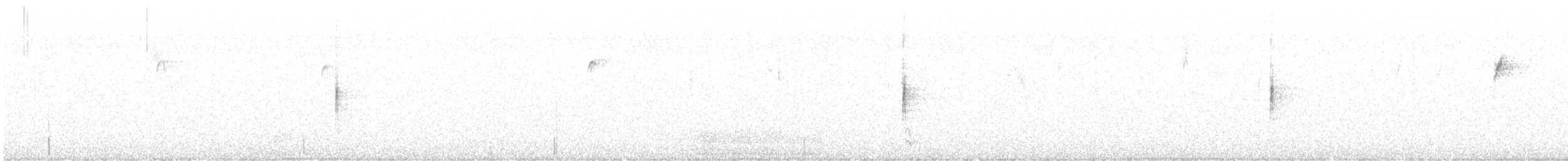 Yellow-rumped Warbler - ML488361541