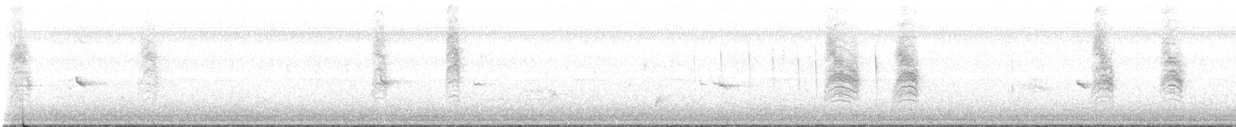 Northern House Wren - ML488370471