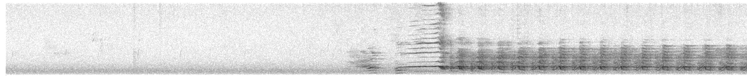 Kaio iluna (graellsii) - ML488399041