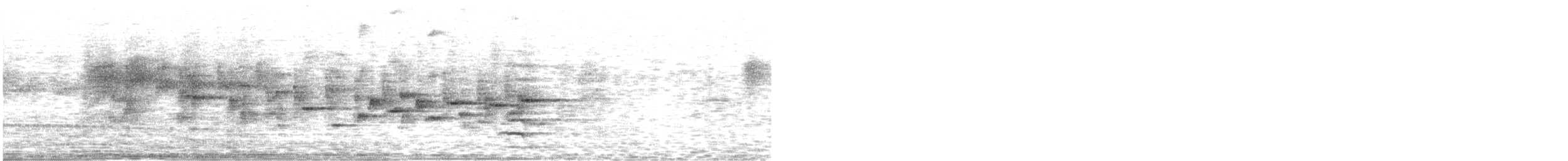 Dimorphic Fantail - ML488425541