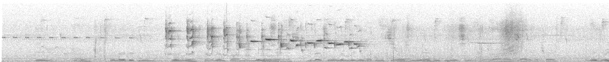 Dimorphic Fantail - ML488425991