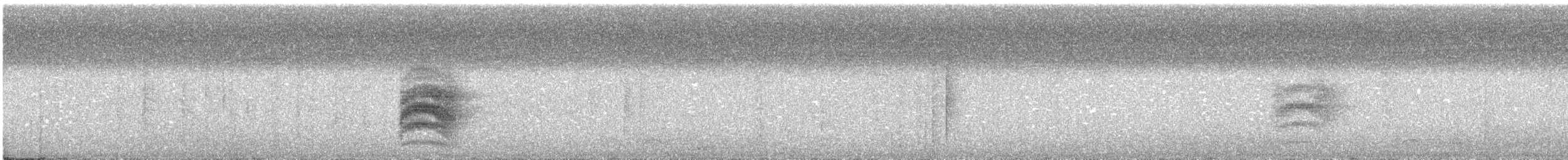 Kestane Sırtlı Karıncakuşu - ML488434341