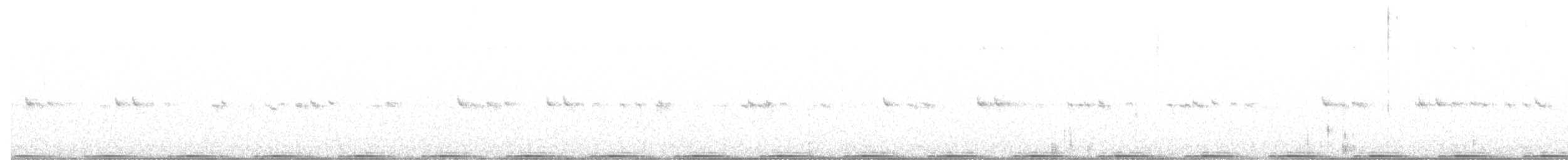 Avustralya Kocaağzı - ML488443551