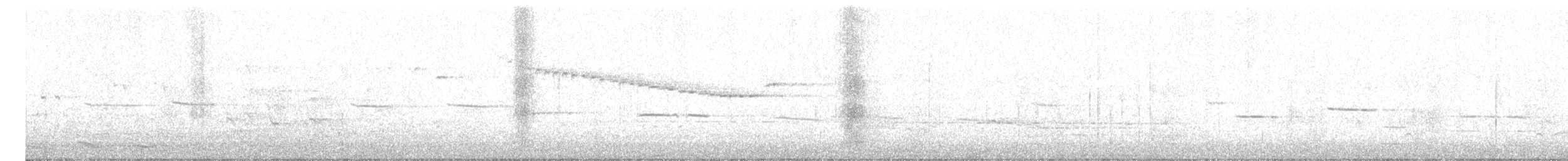 Віялохвістка сиза (підвид preissi) - ML488455891