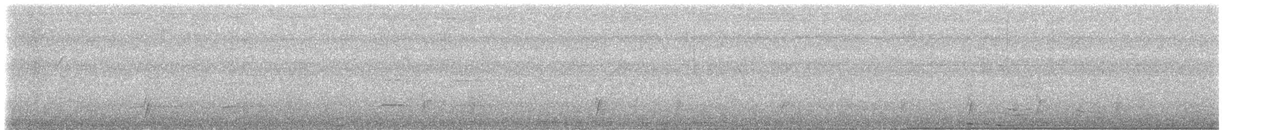 Дрізд-короткодзьоб Cвенсона [група ustulatus] - ML488459851