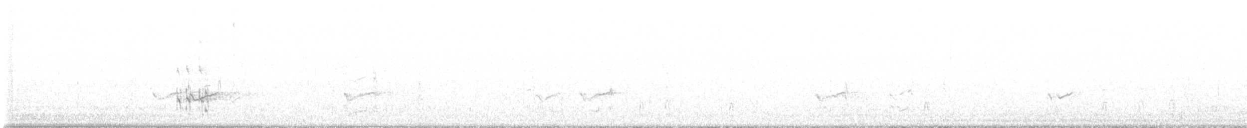 Перепончатопалый галстучник - ML488472001