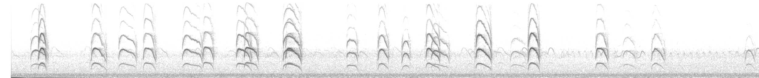 Black-fronted Tern - ML488492161