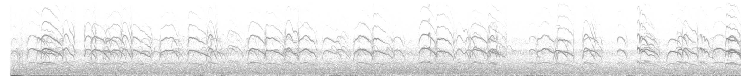 Black-fronted Tern - ML488493071