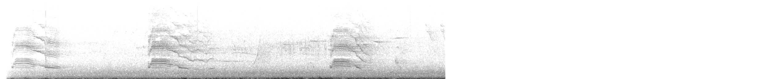 Talève australe - ML488571631
