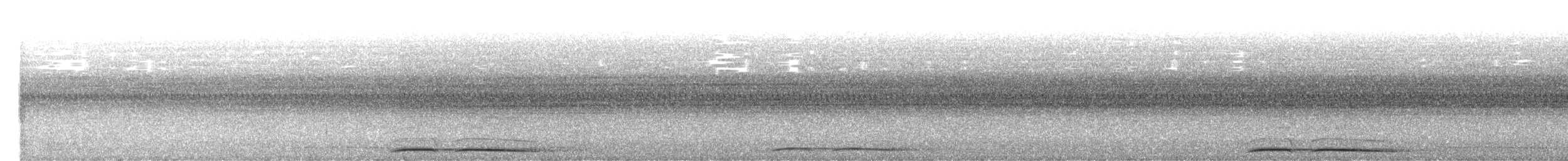 Halmahera Pittası (morotaiensis) - ML488578051