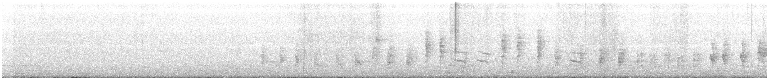 Rousserolle effarvatte (groupe baeticatus) - ML488593211