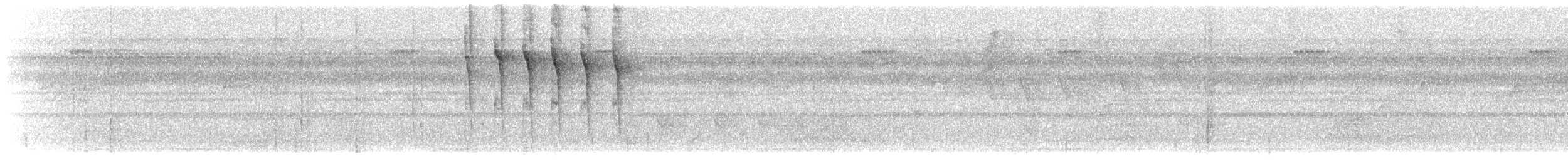 Streifenschwanz-Baumspäher - ML488597071