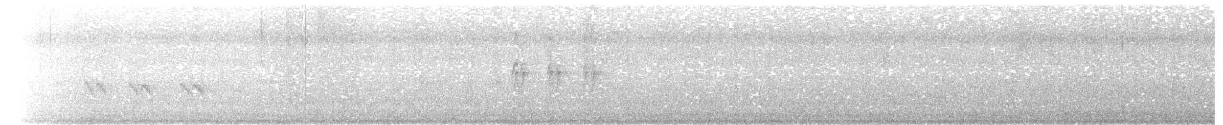 Mirlo Acuático Pardo - ML488605831