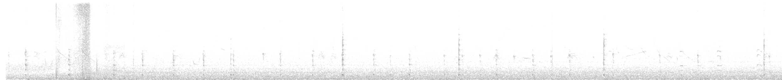 Белокрылая лысуха - ML488611581
