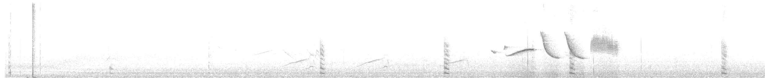 Белокрылая лысуха - ML488611601