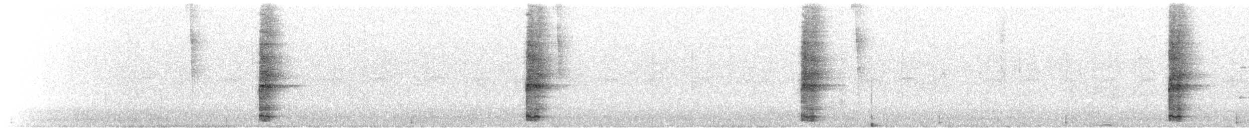Ring-necked Pheasant - ML488645931