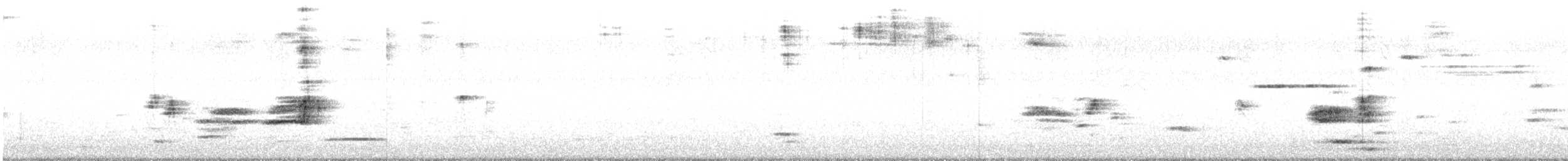 Тауї плямистий - ML488681421