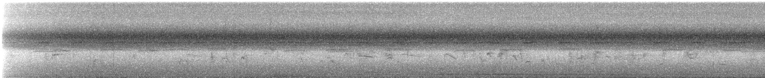 Віреон світлобровий (підвид gilvus) - ML488689121