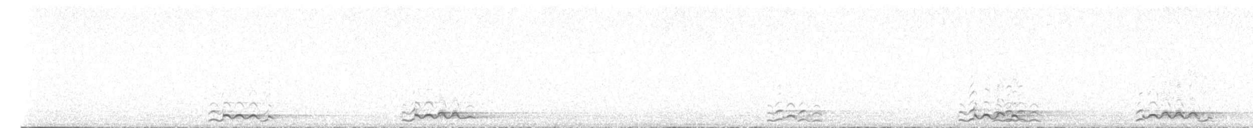 Гагара полярна - ML488788411