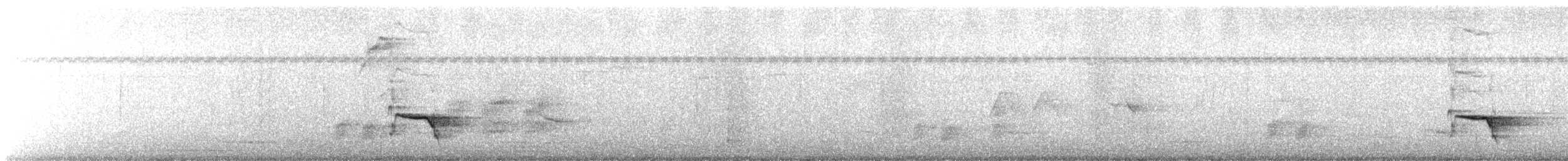 svartnebbtrost (debilis) - ML488790351