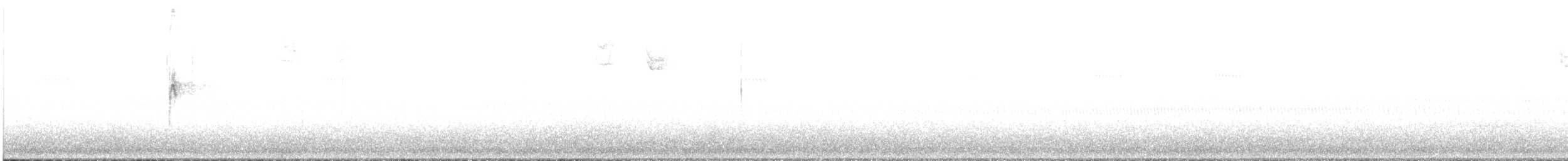 גיבתונית לבנת-גרון - ML488814931