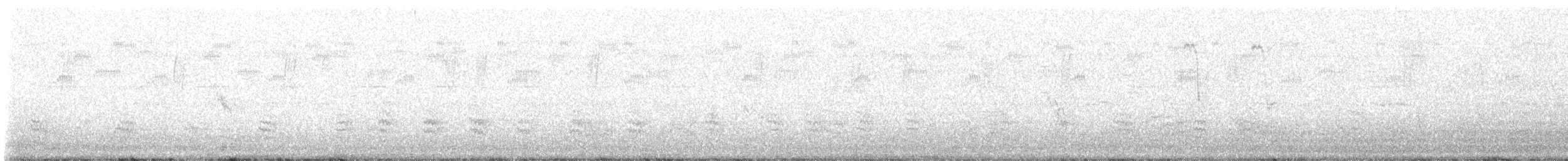 Weißbrustkleiber - ML488824631