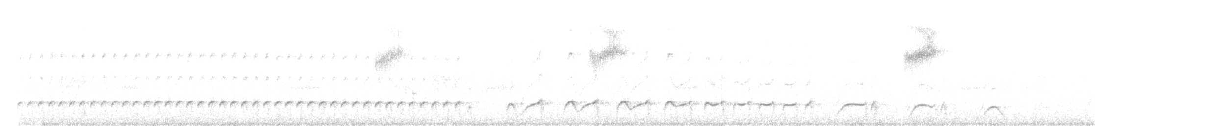 Лінивка-строкатка білошия - ML488829831