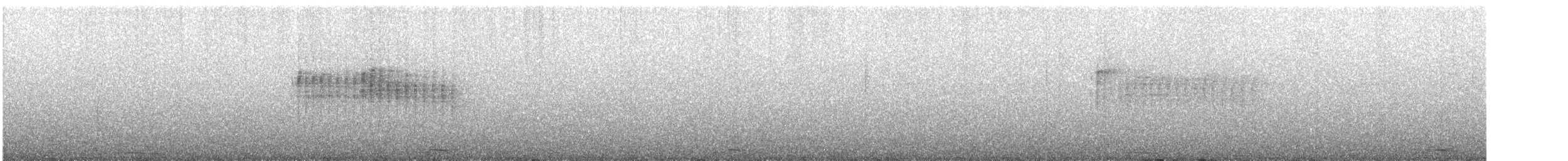 Dreibinden-Ameisenvogel - ML488841381