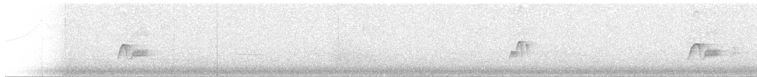 Weißbauch-Phoebetyrann - ML488895991