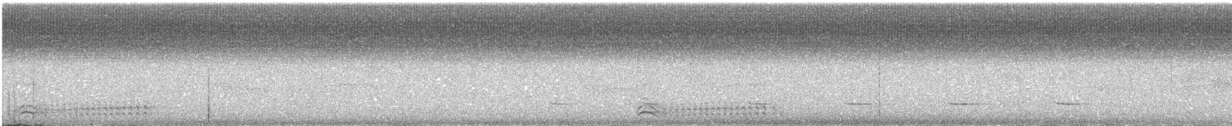 svartnakkemaurvarsler - ML488979871