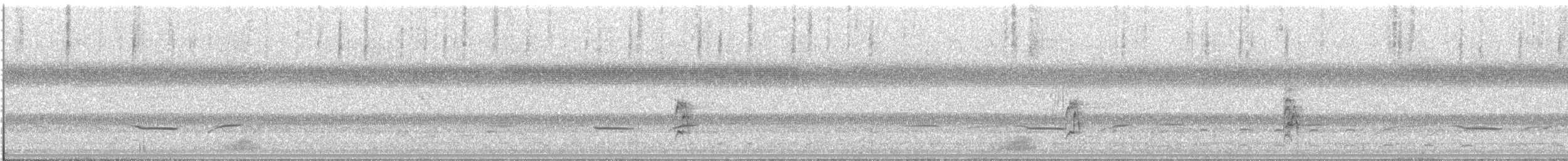 Tinamu sabelzuria - ML488986461