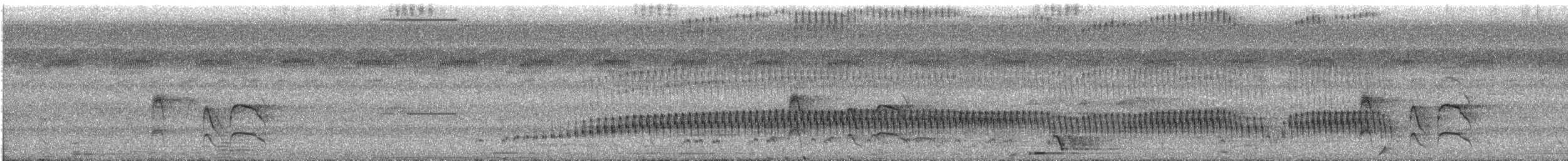 White-eared Jacamar - ML488995311