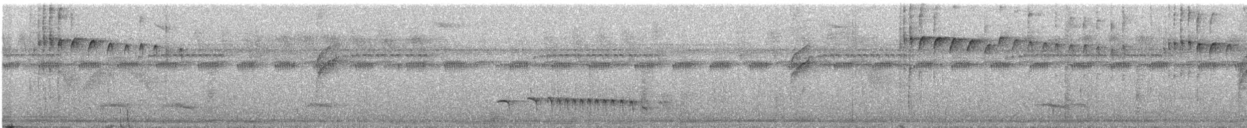 Golden-spangled Piculet - ML488995691