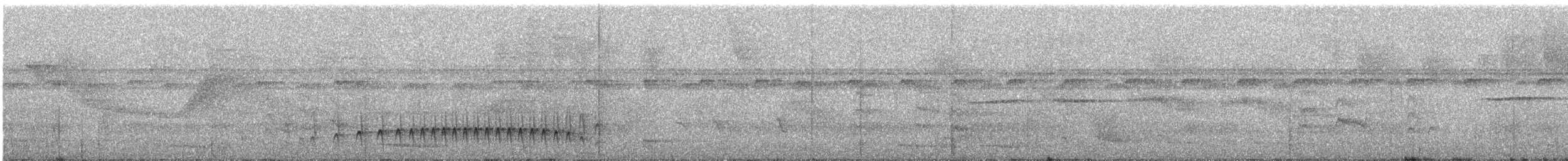 Weißbrauen-Ameisenfänger - ML488996891