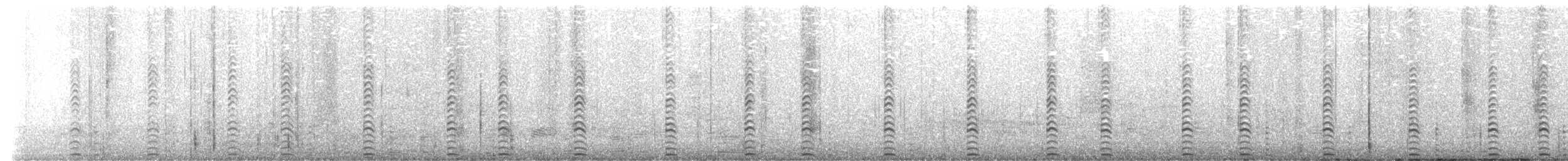 Wedge-tailed Shearwater - ML489007881