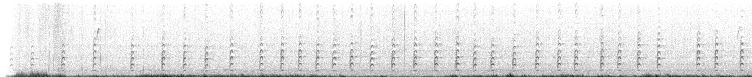 Black-necked Stilt - ML489011451